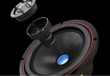 ESB Audio 3.165C 2-Way Convertible Speaker System